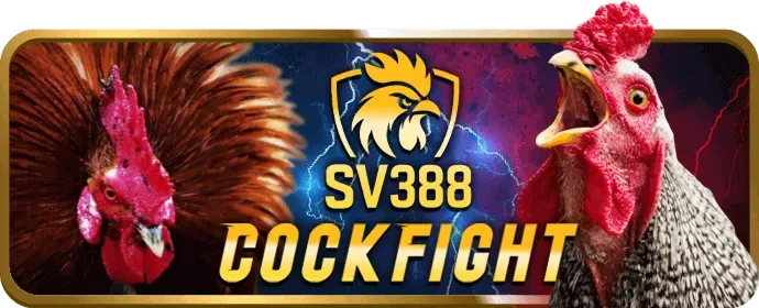 Nhân viên hỗ trợ khách hàng 24/7